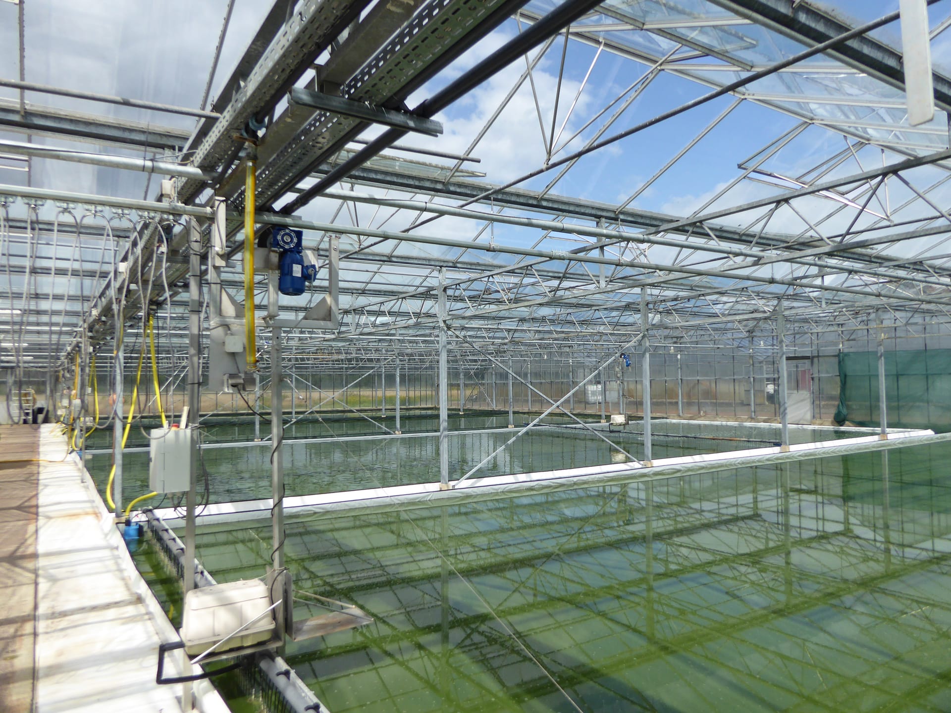 Spirulina-Produktionsanlage im Gewächshaus
