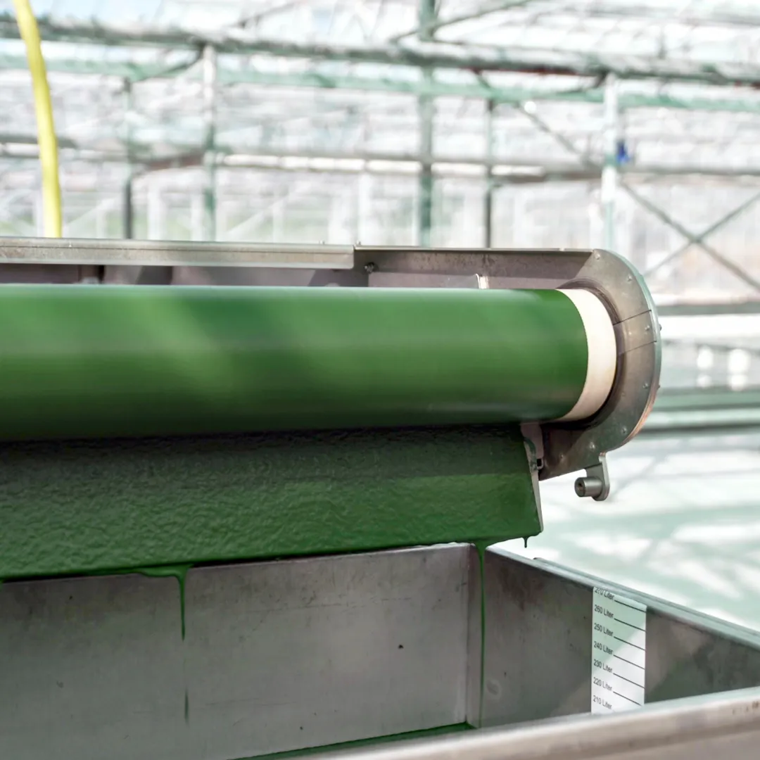 Ernte und schonende Trocknung